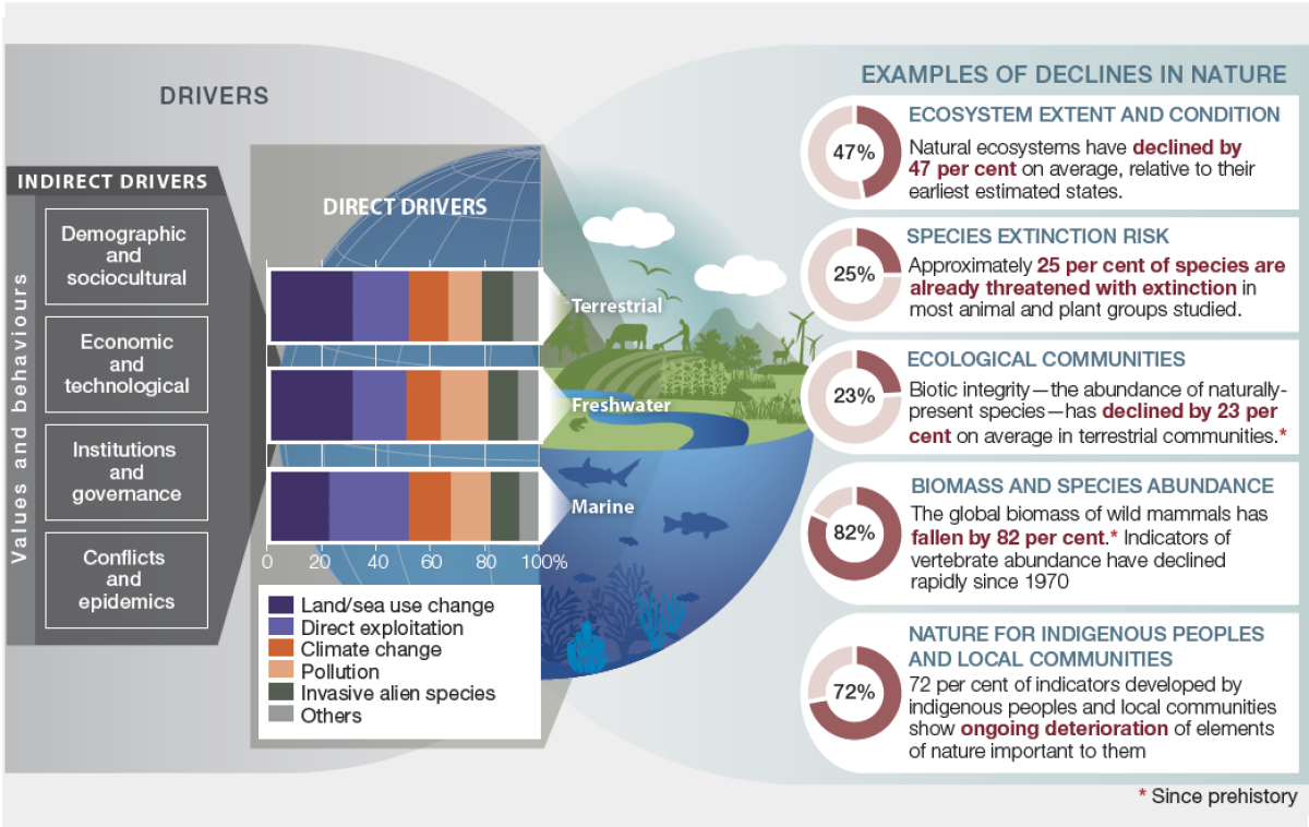 The Collapse Of The Biodiversity Health And Environment The Collapse Of The Biodiversity Health And Environment