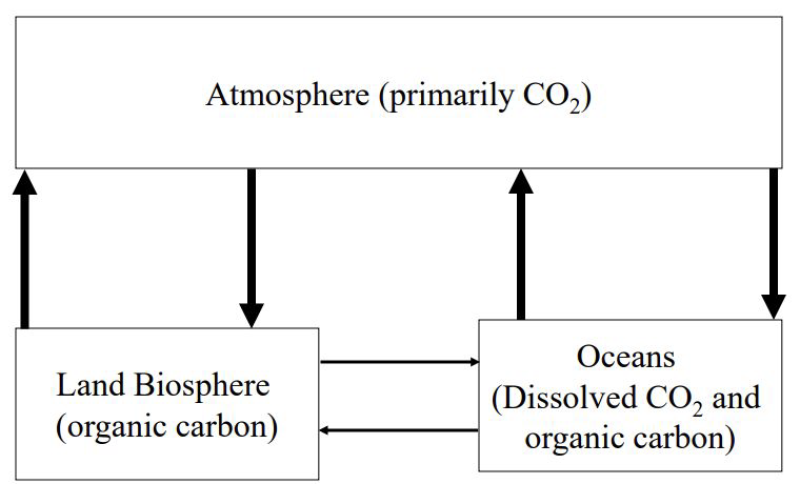 Carbon Cycle